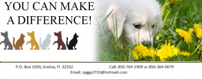 YouCanMakeADifference, Inc. - Pet Shelter and Rescue in Gretna, Florida