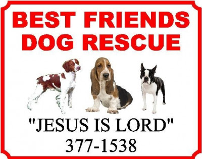 Best Friends Dog Rescue - Pet Shelter and Rescue in Cairo, Georgia