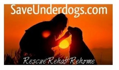 Save UnderDogs - Pet Shelter and Rescue in Mary Esther, Florida