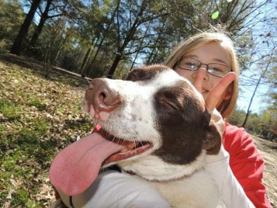 Panhandle Animal Lovers - Pet Shelter and Rescue in Crestview, Florida