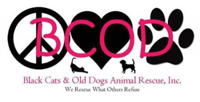 Black Cats & Old Dogs Animal Rescue - Pet Shelter and Rescue in Tallahassee, Florida