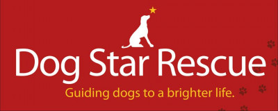 Dog Star Rescue - Pet Shelter and Rescue in Bloomfield, Connecticut