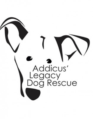 Addicus Legacy Dog Rescue - Pet Shelter and Rescue in VERNON ROCKVL, Connecticut