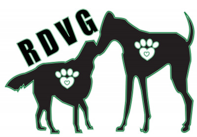 Rescue Dog Village Guardian, Inc - Pet Shelter and Rescue in Preston, Connecticut