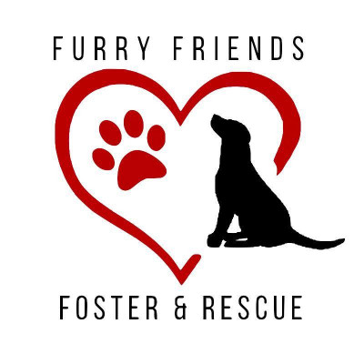 Furry Friends Foster And Rescue, Inc. - Pet Shelter and Rescue in Milford, Connecticut