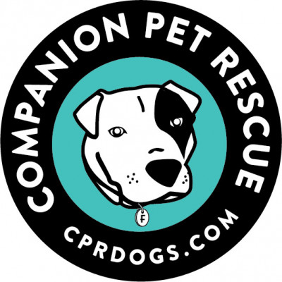 Companion Pet Rescue - New England - Pet Shelter and Rescue in Watertown, Connecticut