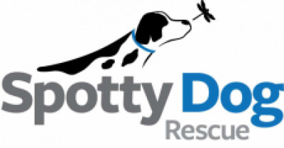 Spotty Dog Rescue, Inc - Pet Shelter and Rescue in Waterbury, Connecticut