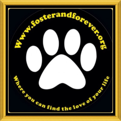 Foster And Forever Pet Rescue - Pet Shelter and Rescue in Naugatuck, Connecticut