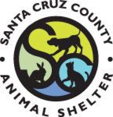 Santa Cruz County Animal Shelter - Pet Shelter and Rescue in Santa Cruz, California