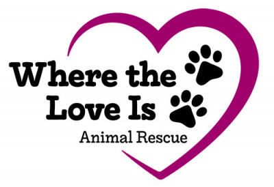 Where The Love Is, Inc. - Pet Shelter and Rescue in Hamden, Connecticut