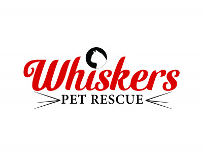 Whiskers Pet Rescue - Pet Shelter and Rescue in Southbury, Connecticut