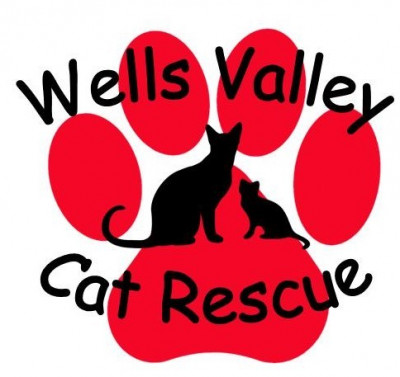 Wells Valley Cat Sanctuary - Pet Shelter and Rescue in New Milford, Connecticut
