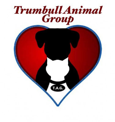 Trumbull Animal Group - Pet Shelter and Rescue in Trumbull, Connecticut