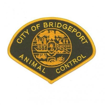 Bridgeport Animal Control Facilites - Pet Shelter and Rescue in Bridgeport, Connecticut