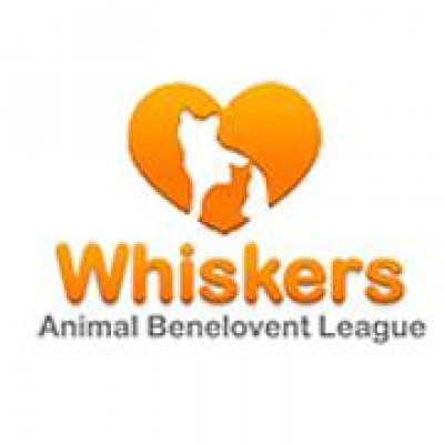 Whiskers Animal Benevolent League - Pet Shelter and Rescue in Albany, New York