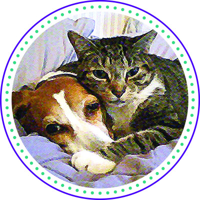 Only Kindness, Inc. - Pet Shelter and Rescue in Wayne, New Jersey