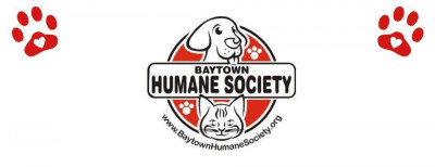 BACCR - Baytown Humane Society - Pet Shelter and Rescue in Baytown, Texas