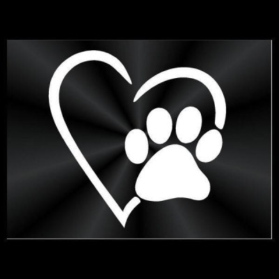 The BoneYard Animal Rescue - Pet Shelter and Rescue in Plainfield, Illinois