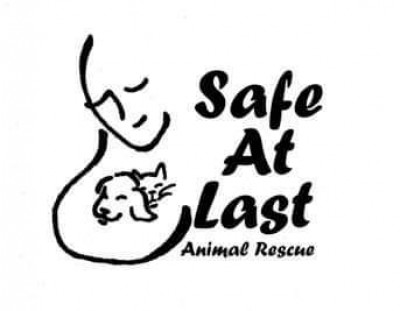 Safe At Last Animal Rescue, Inc. - Pet Shelter and Rescue in Fultonham, New York