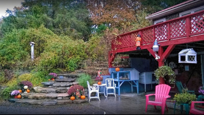 Adirondack Save-A-Stray - Pet Shelter and Rescue in Corinth, New York