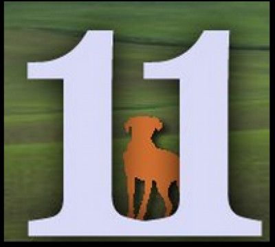 11th Hour Canine Rescue New York - Pet Shelter and Rescue in Wilton, New York