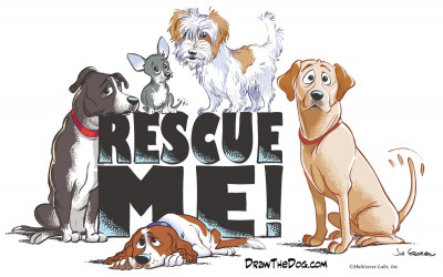 Hollywood Rescue - Pet Shelter and Rescue in Pine Bush, New York