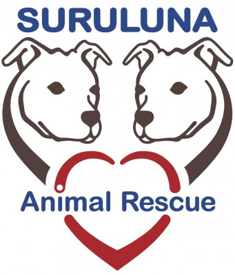 Suruluna Animal Rescue - Pet Shelter and Rescue in Morris, New York