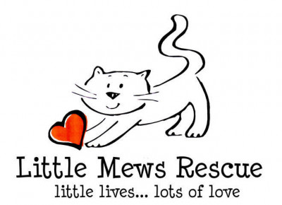 Little Mews Rescue - Pet Shelter and Rescue in Adrian, Michigan