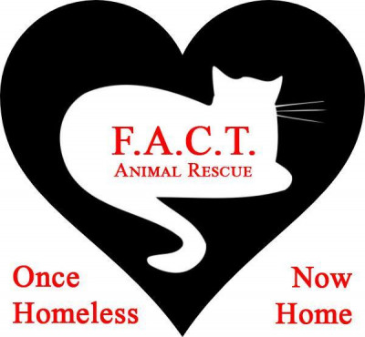 F.A.C.T. (Feline Advocates Coming Together) - Pet Shelter and Rescue
