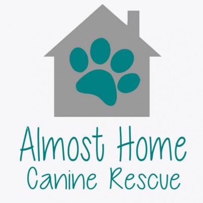 Almost Home Canine Rescue - Pet Shelter and Rescue in Sioux Falls, South Dakota
