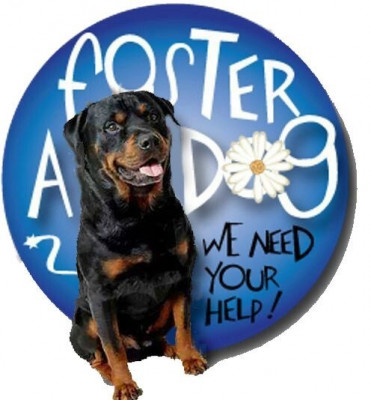 Guardian Angel Rescue - Pet Shelter and Rescue in Brewster, New York