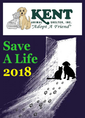 Kent Animal Shelter Inc. - Pet Shelter and Rescue in Calverton, New York