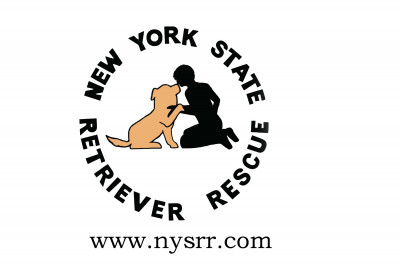 New York State Retriever Rescue, Inc, - Pet Shelter and Rescue in Bethpage, New York
