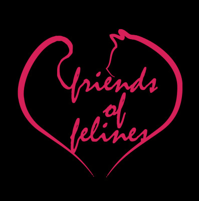 Friends Of Felines, Inc. - Pet Shelter and Rescue in Stamford, Connecticut