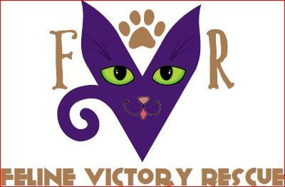 Feline Victory Rescue - Pet Shelter and Rescue in Valley Stream, New York