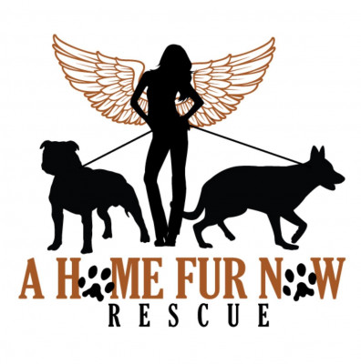 A Home Fur Now Rescue, Inc - Pet Shelter and Rescue in Holbrook, New York