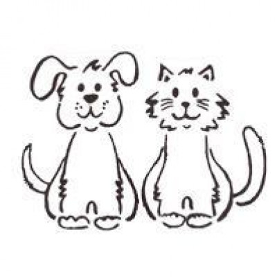 County Line Pet Hospital - Pet Shelter and Rescue in Steger, Illinois