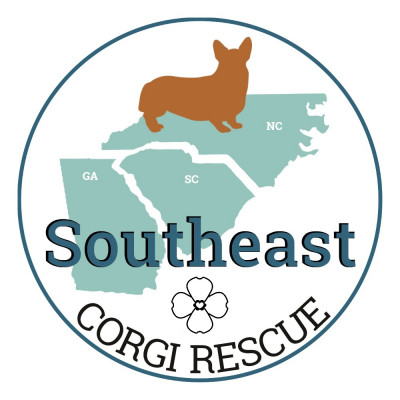 Southeast Corgi Rescue - Pet Shelter and Rescue in Edisto Island, South Carolina