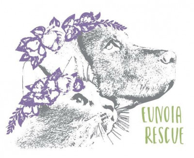 Eunoia Rescue - Pet Shelter and Rescue in Charleston, South Carolina