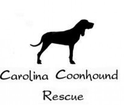 Carolina Coonhound Rescue - Pet Shelter and Rescue in Charleston, South Carolina