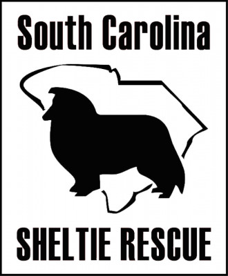 South Carolina Sheltie Rescue - Pet Shelter and Rescue in Rock Hill, South Carolina