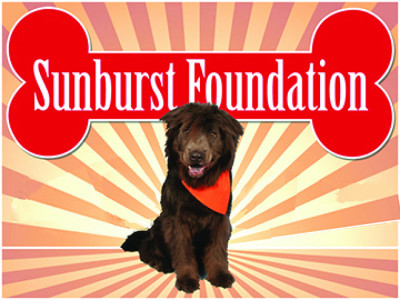 Sunburst Foundation Of Wilmington Canine Rescue - Pet Shelter and Rescue in Cape Fear, North Carolina