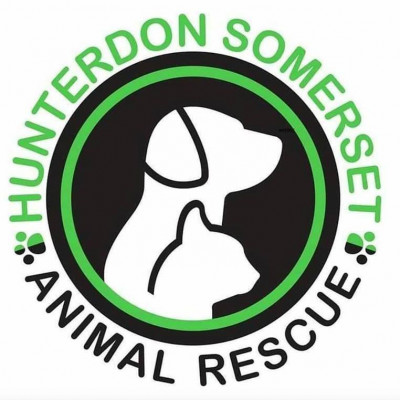 Hunterdon Somerset Animal Rescue Center - Pet Shelter and Rescue in Bridgewater, New Jersey