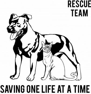 All Our Orphans - Pet Shelter and Rescue in Mendham Township, New Jersey