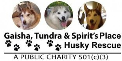 GTS Husky Rescue (Gaisha, Tundra, And Spirit