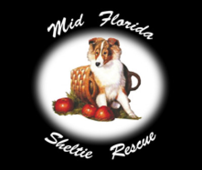 Mid Florida Sheltie Rescue - Pet Shelter and Rescue in Melbourne, Florida