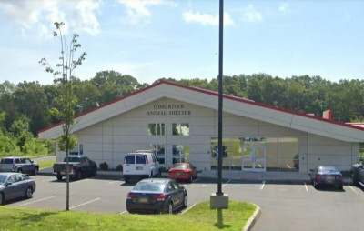 Toms River Township Animal Facility - Pet Shelter and Rescue in Toms River, New Jersey
