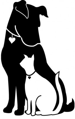 Jersey Shore Animal Center - Pet Shelter and Rescue in Brick Township, New Jersey