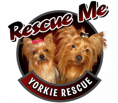Rescue Me - Yorkie Rescue - Pet Shelter and Rescue in Manchester Township, New Jersey