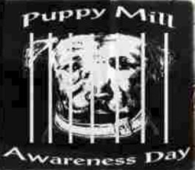 Puppy Mill Awareness Day Rescues - Pet Shelter and Rescue in Jackson Township, New Jersey